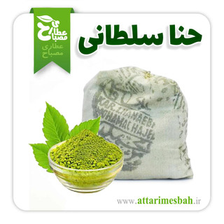حنا سلطانی پاکستانی اصل